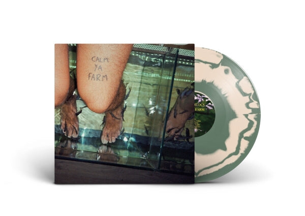 |  Vinyl LP | Murlocs - Calm Ya Farm (LP) | Records on Vinyl