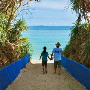|  Vinyl LP | Nagisa Ni Te - Newocean (2 LPs) | Records on Vinyl