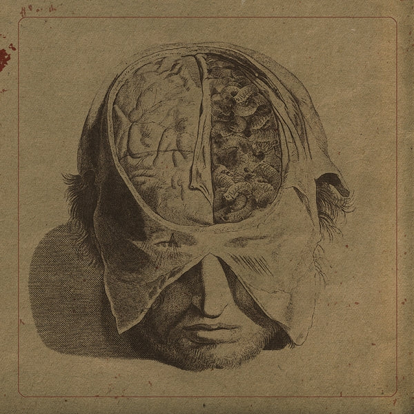 |   | Farsot - Insects (LP) | Records on Vinyl