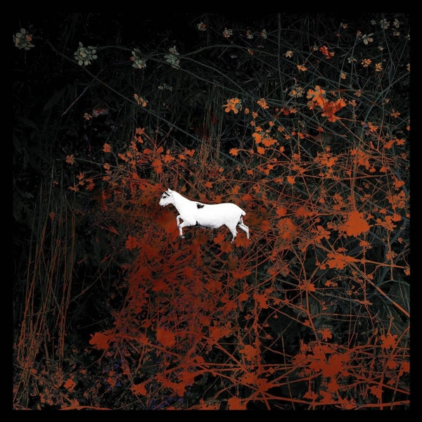 |  Vinyl LP | Les Discrets - Predateurs (5 LPs) | Records on Vinyl