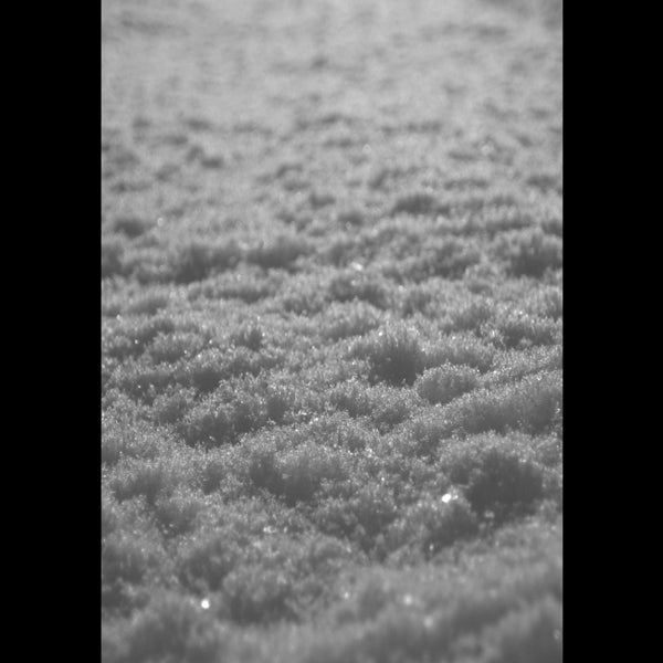 |   | Paysage D'hiver - Schnee (2 LPs) | Records on Vinyl