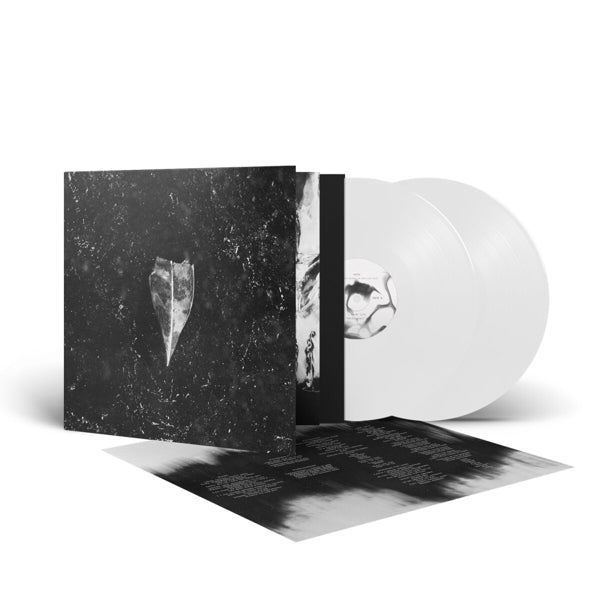 |   | Bees Made Honey In the Vein Tree - Aion (2 LPs) | Records on Vinyl