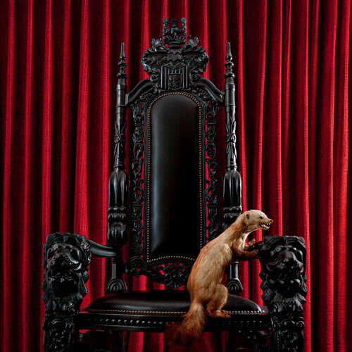 |  Vinyl LP | Brume - Marten (LP) | Records on Vinyl