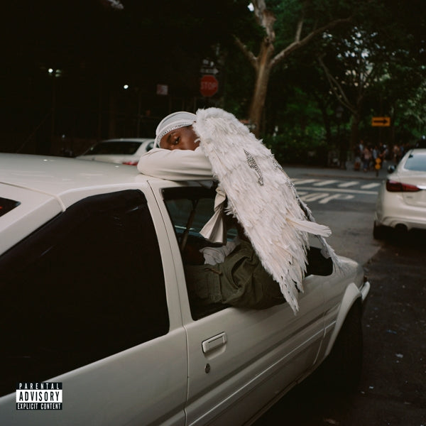 |  Vinyl LP | Blood Orange - Negro Swan (2 LPs) | Records on Vinyl