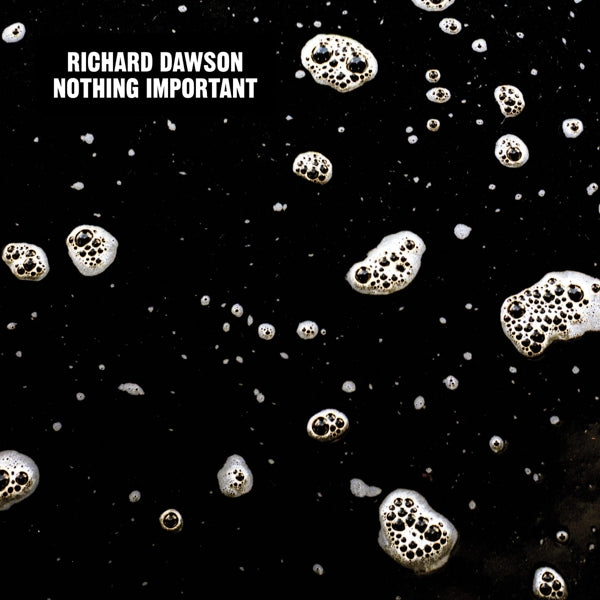 |  Vinyl LP | Richard Dawson - Nothing Important (LP) | Records on Vinyl