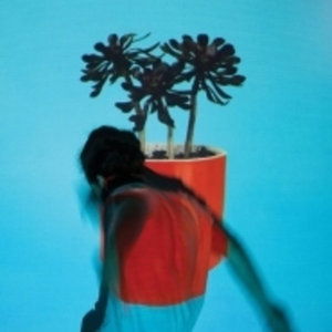 |  Vinyl LP | Local Natives - Sunlit Youth (LP) | Records on Vinyl