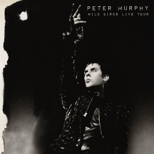 |  Vinyl LP | Peter Murphy - Wild Birds Live Tour (LP) | Records on Vinyl