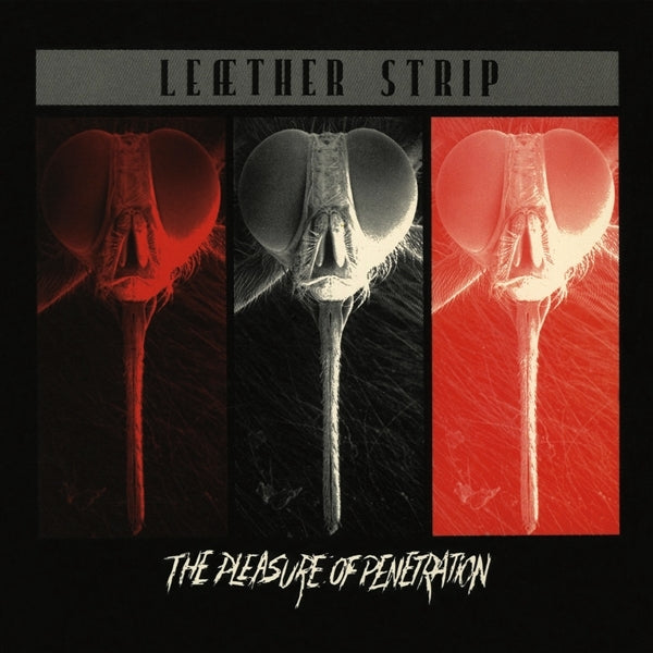 |  Vinyl LP | Leaether Strip - The Pleasure of Penetration (LP) | Records on Vinyl