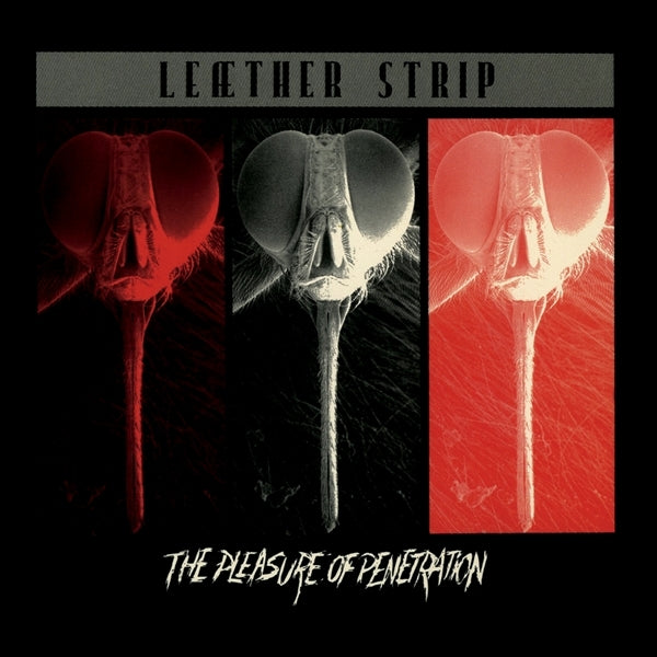 |   | Leaether Strip - The Pleasure of Penetration (LP) | Records on Vinyl