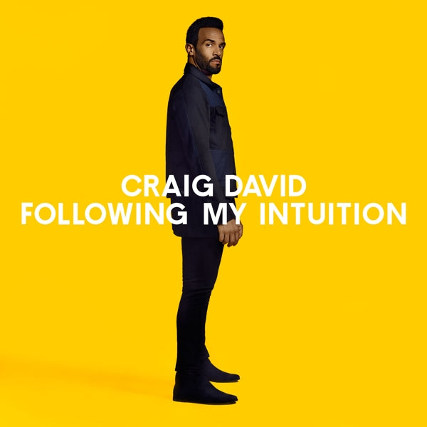 |  Vinyl LP | Craig David - Following My Intuition (2 LPs) | Records on Vinyl