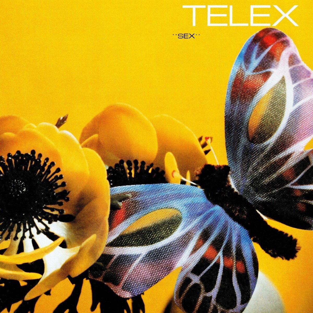 |  Vinyl LP | Telex - Sex (LP) | Records on Vinyl