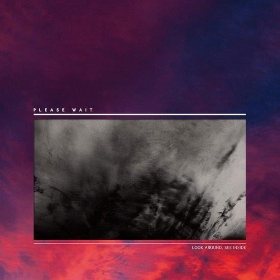 |  Vinyl LP | Please Wait - Look Around, See Inside (LP) | Records on Vinyl