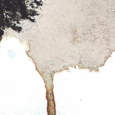 |  12" Single | Telescopes/the Flavor Crystals - Tour Split (Single) | Records on Vinyl