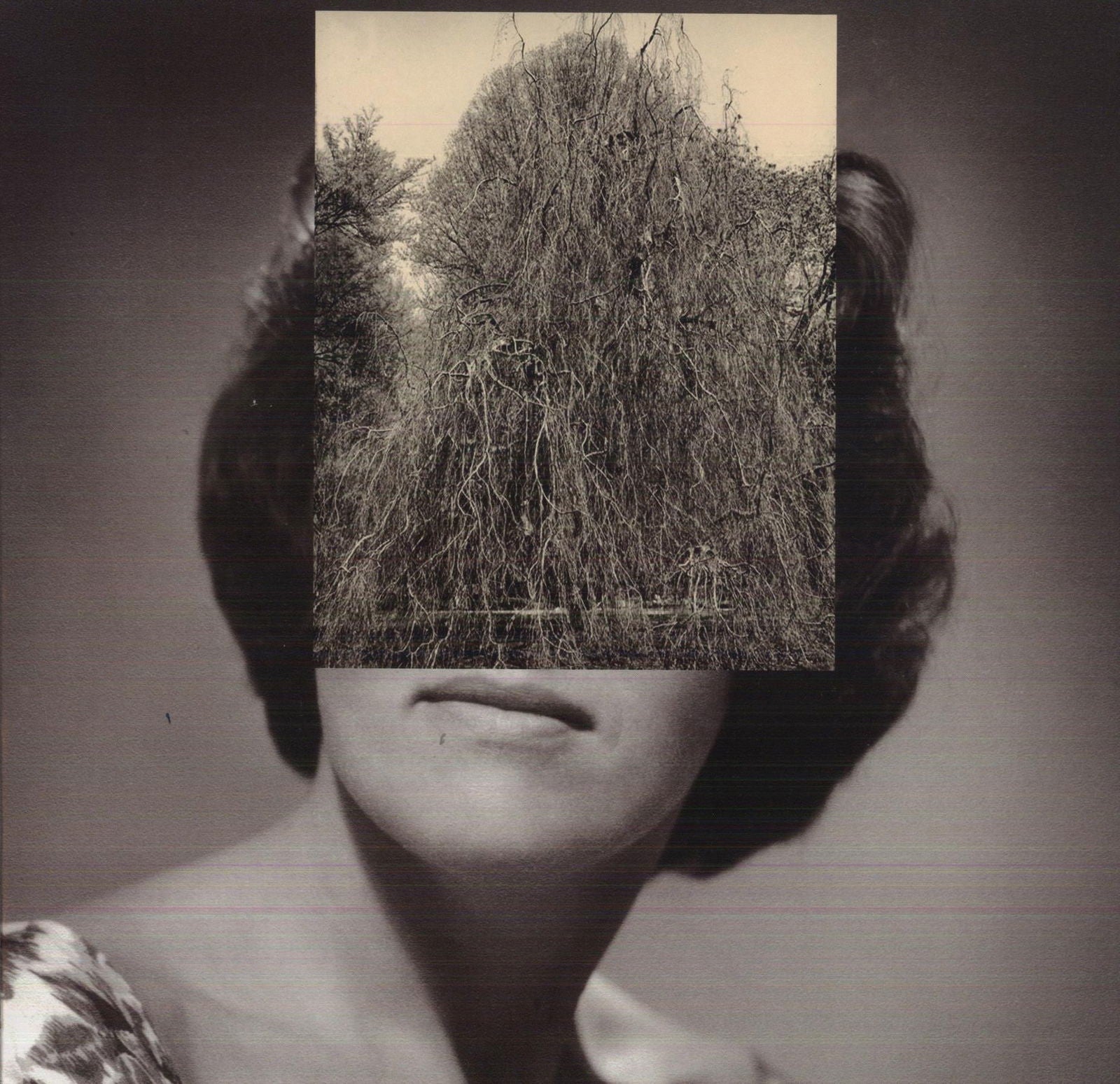 |  Vinyl LP | Crash Normal - Your Body Got a Land (LP) | Records on Vinyl