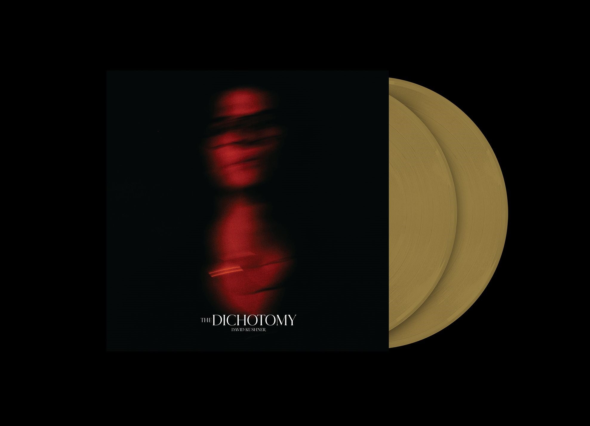 |  Vinyl LP | David Kushner - The Dichotomy (2 LPs) | Records on Vinyl