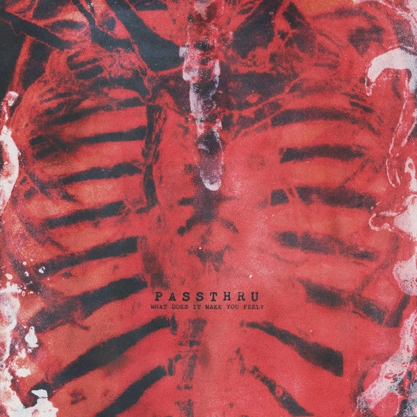 |  Vinyl LP | Passthru - What Does It Make You Feel? (LP) | Records on Vinyl