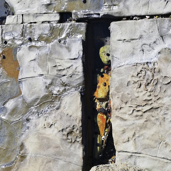 |  Vinyl LP | Troth - Oak Corridor (LP) | Records on Vinyl