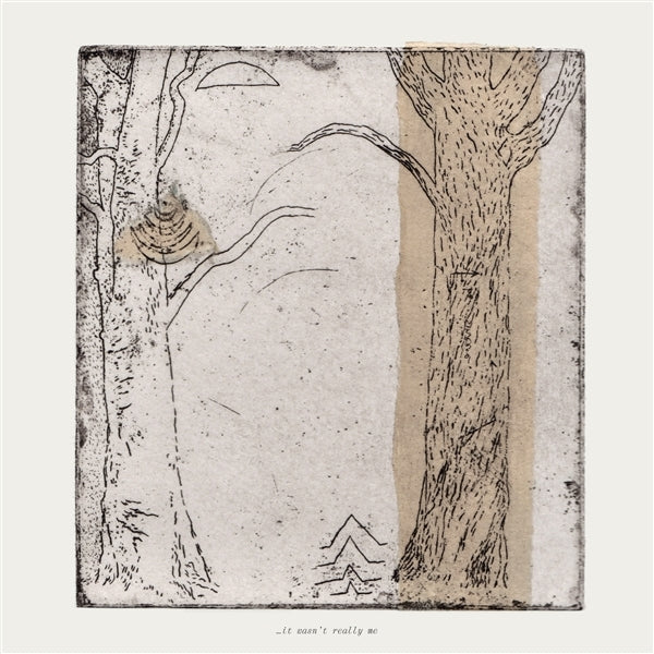 |  Vinyl LP | V/A - It Wasn't Really Me (LP) | Records on Vinyl