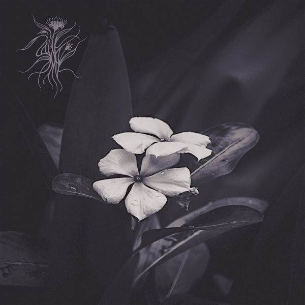 |  Vinyl LP | Saasol - Ephemeral (LP) | Records on Vinyl