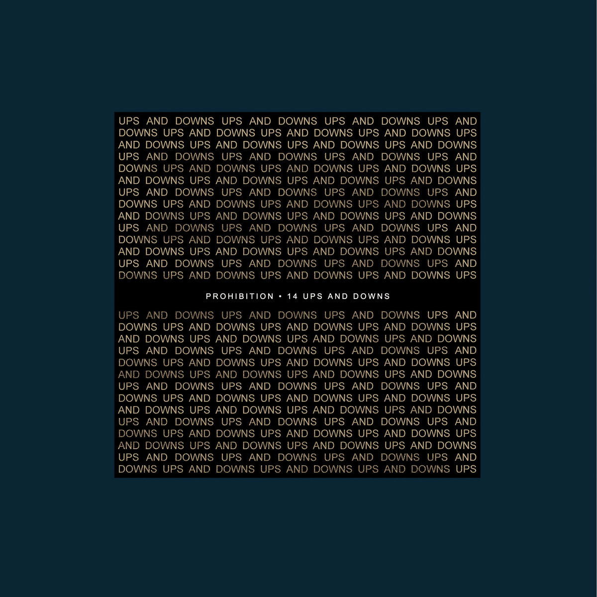|  Vinyl LP | Prohibition - 14 Ups and Downs (LP) | Records on Vinyl