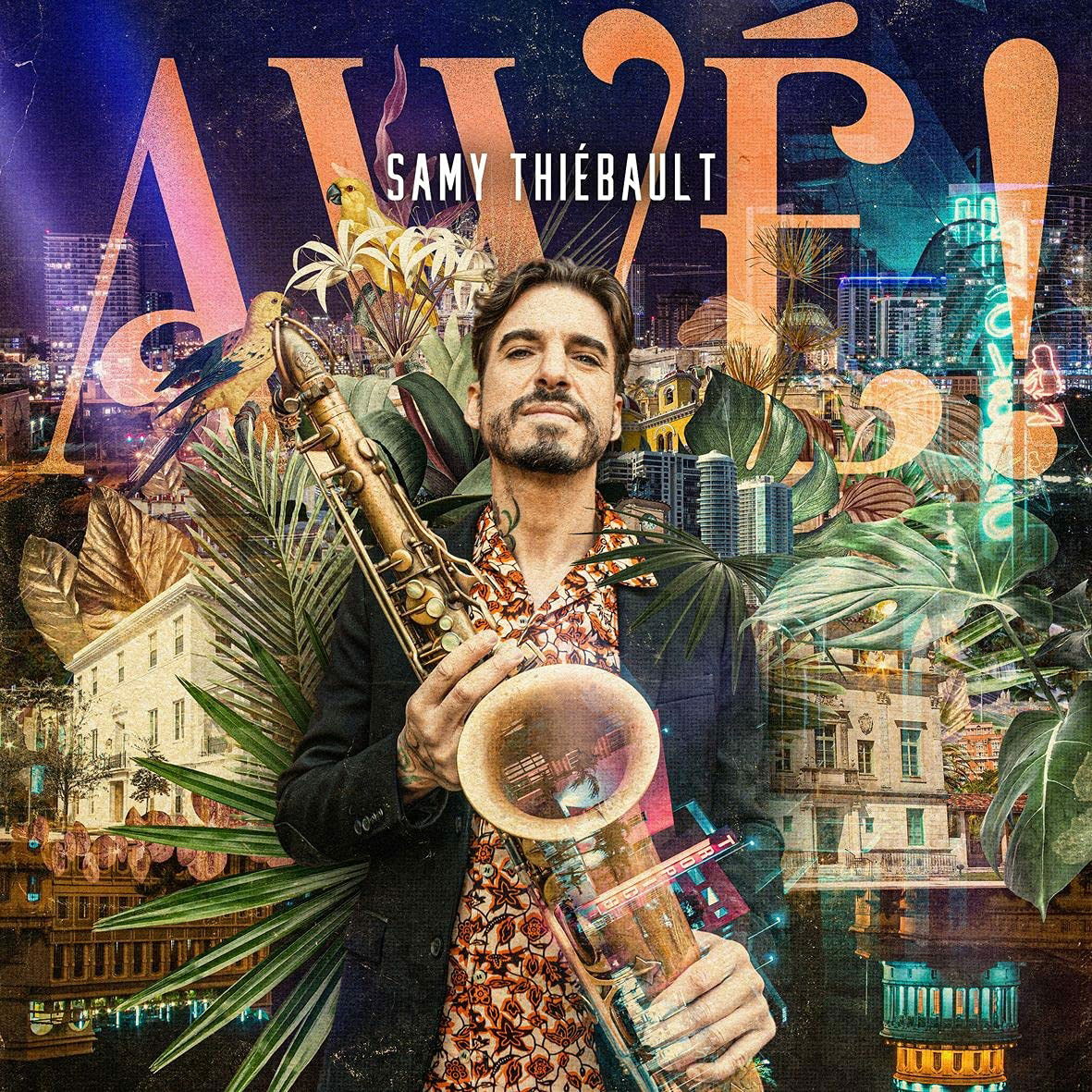 |  Vinyl LP | Samy Thiebault - Awe! (2 LPs) | Records on Vinyl