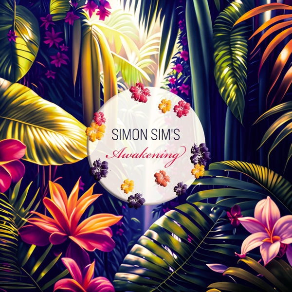|  Vinyl LP | Simon Sim's - Awakening (LP) | Records on Vinyl