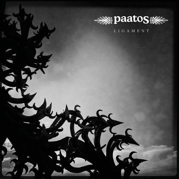 |  Vinyl LP | Paatos - Ligament (LP) | Records on Vinyl