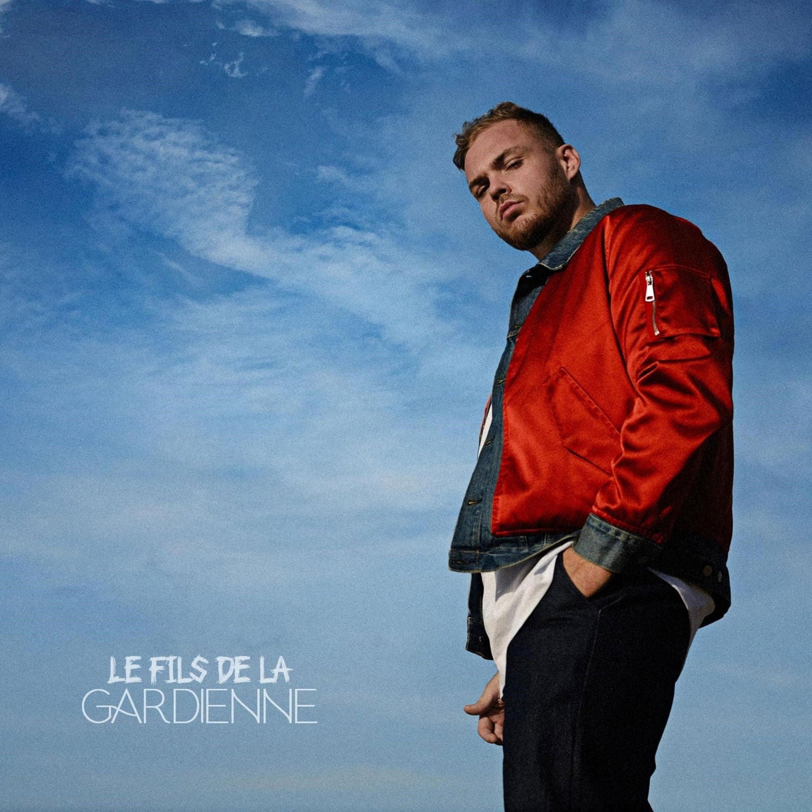 |  Vinyl LP | Remy - Le Ffils De La Gardienne (LP) | Records on Vinyl