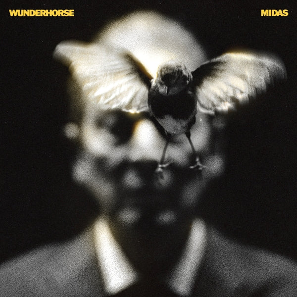 |  Vinyl LP | Wunderhorse - Midas (LP) | Records on Vinyl