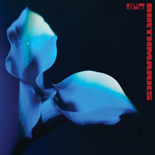 |  Vinyl LP | Bambara - Birthmarks (LP) | Records on Vinyl