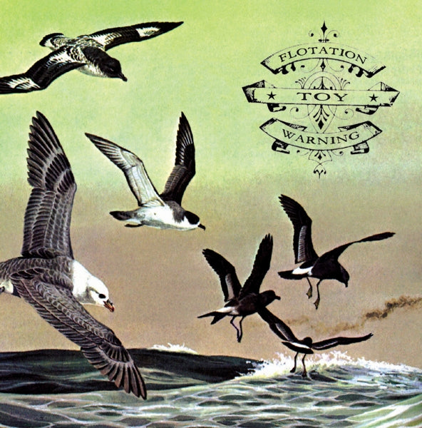 |  Vinyl LP | Flotation Toy Warning - Bluffer's Guide To the Flight Deck (2 LPs) | Records on Vinyl