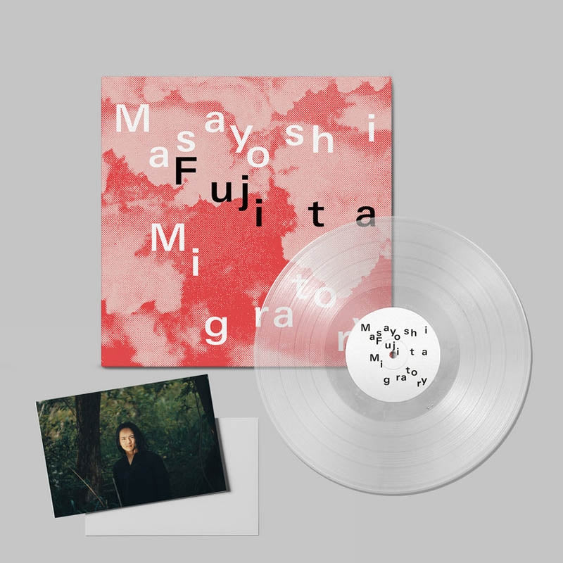 |  Vinyl LP | Masayoshi Fujita - Migratory (LP) | Records on Vinyl