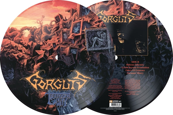 |   | Gorguts - Erosion of Sanity (LP) | Records on Vinyl