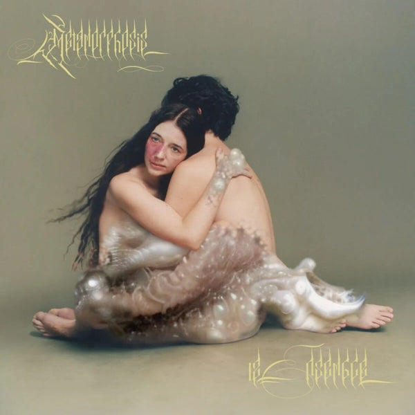 |  Vinyl LP | 12 Ensemble - Metamorphosis (2 LPs) | Records on Vinyl