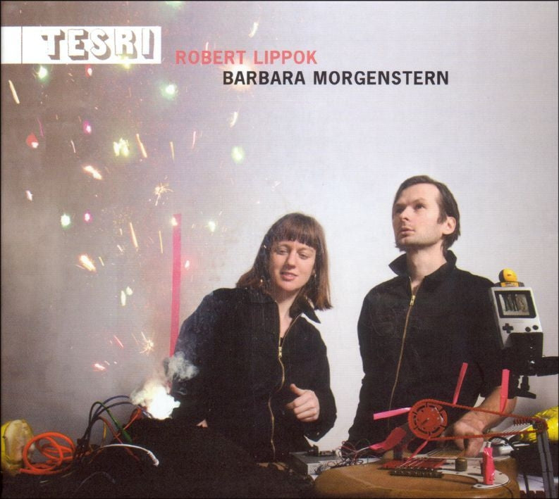 |  Vinyl LP | Barbara & Robert Lippok Morgenstern - Tesri (LP) | Records on Vinyl