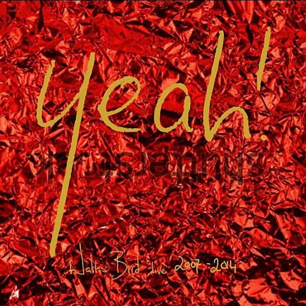 |  Vinyl LP | Wallis Bird - Yeah! Wallis Bird Live 2007-2014 (2 LPs) | Records on Vinyl