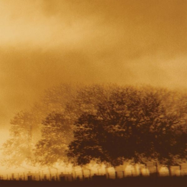 |  Vinyl LP | Infinite Light Ltd. - Infinite Light Ltd. (LP) | Records on Vinyl