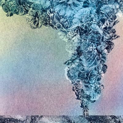 |  Vinyl LP | Daughn Gibson - Carnation (Clear) (LP) | Records on Vinyl
