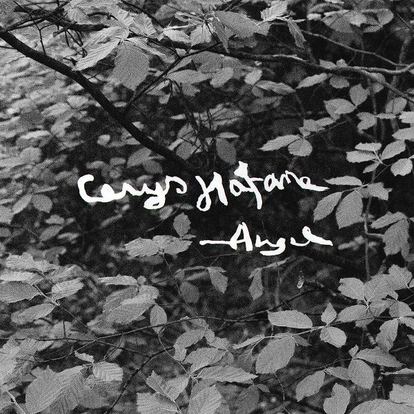 |  Vinyl LP | Cerys Hafana - Angel (LP) | Records on Vinyl