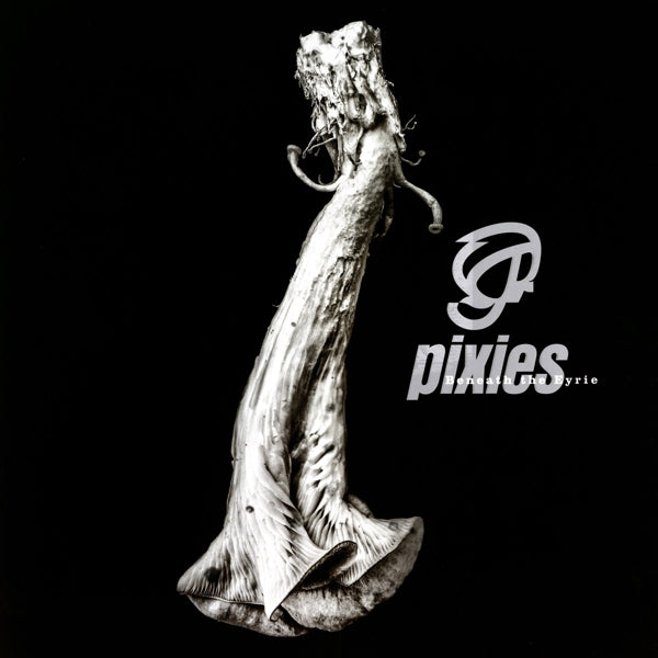 |  Vinyl LP | Pixies - Beneath the Eyrie (LP) | Records on Vinyl