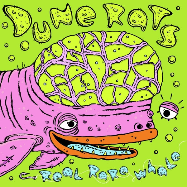 |   | Dune Rats - Real Rare Whale (LP) | Records on Vinyl