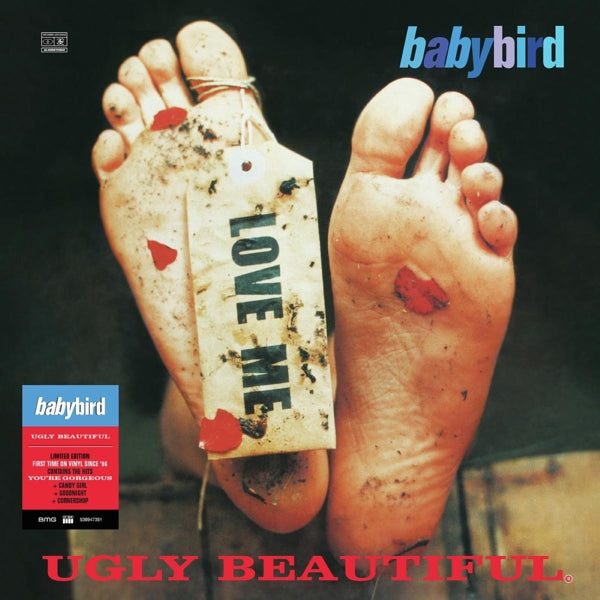 |  Vinyl LP | Babybird - Ugly Beautiful (LP) | Records on Vinyl