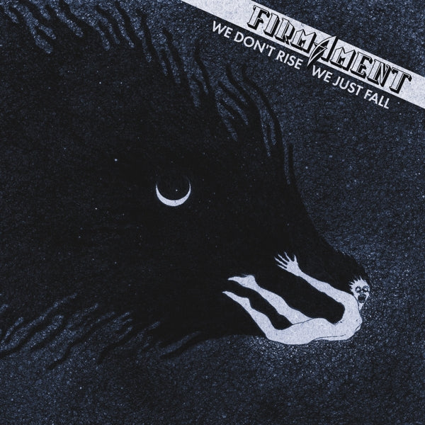|  Vinyl LP | Firmament - We Don't Rise, We Just Fall (LP) | Records on Vinyl