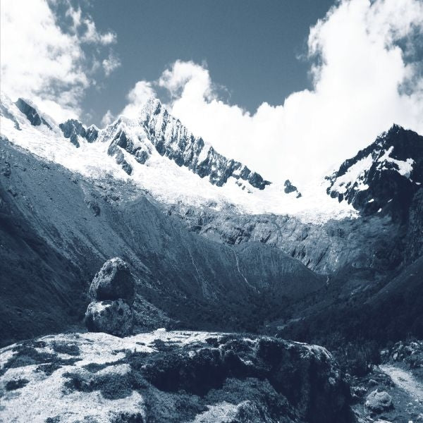 |  Vinyl LP | Lto - Deja Reve (LP) | Records on Vinyl