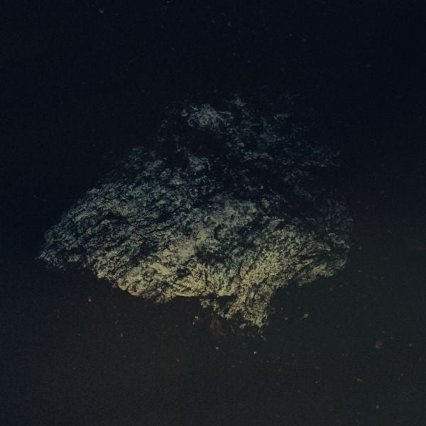 |  Vinyl LP | Multicast Dynamics - Lost World (LP) | Records on Vinyl