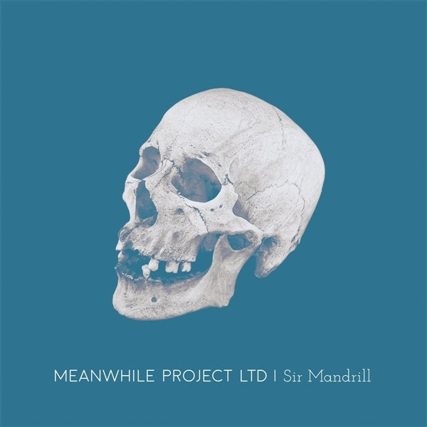|  Vinyl LP | Meanwhile Project Ltd - Sir Mandrill (LP) | Records on Vinyl
