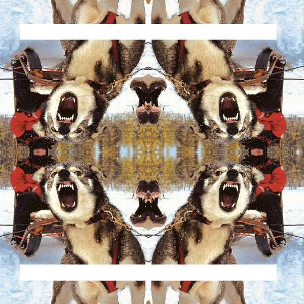 |  Vinyl LP | Destiino - Ii (LP) | Records on Vinyl