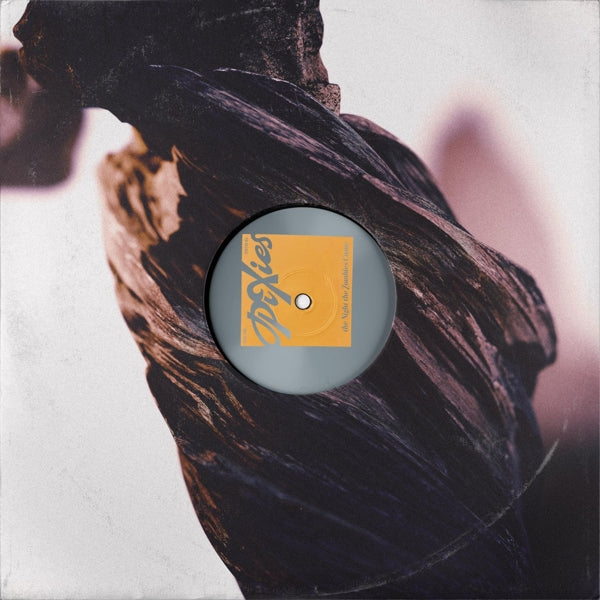 |  Vinyl LP | Pixies - The Night the Zombies Came (LP) | Records on Vinyl