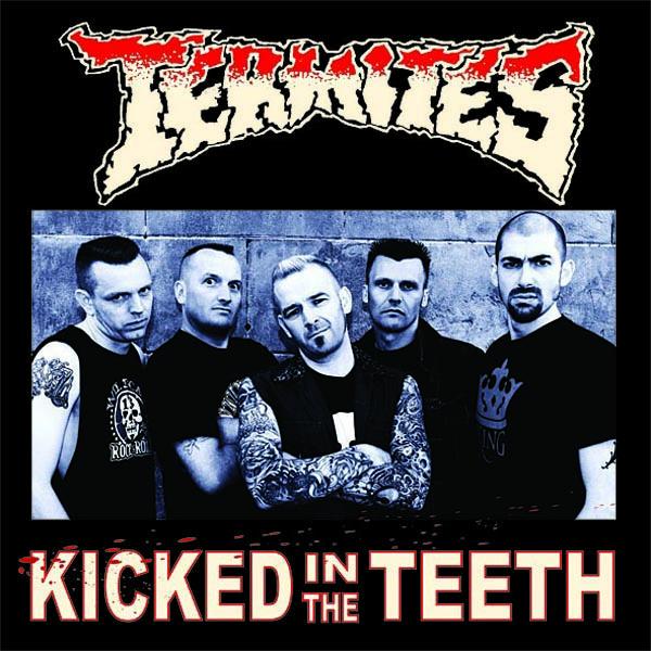 |  Vinyl LP | Termites - Kicked In the Teeth (LP) | Records on Vinyl