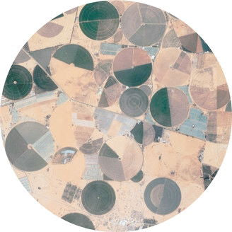|  12" Single | Forest Drive West - Recursion (Single) | Records on Vinyl